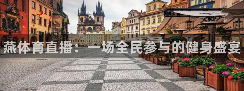 燕体育直播：一场全民参与的健身盛宴