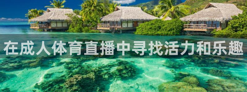 在成人体育直播中寻找活力和乐趣