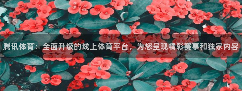 腾讯体育：全面升级的线上体育平台，为您呈现精彩赛事和独家内容