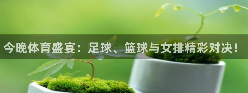 今晚体育盛宴：足球、篮球与女排精彩对决！