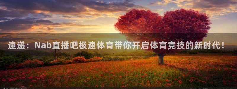速递：Nab直播吧极速体育带你开启体育竞技的新时代！
