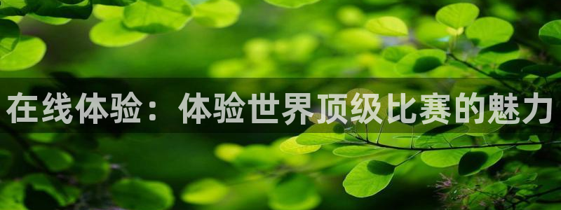 在线体验：体验世界顶级比赛的魅力