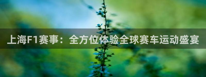 上海F1赛事：全方位体验全球赛车运动盛宴