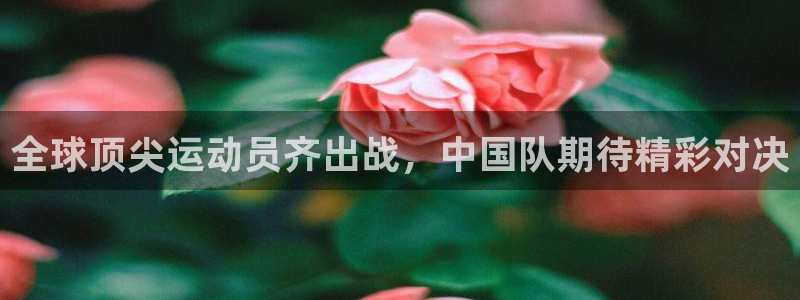 全球顶尖运动员齐出战，中国队期待精彩对决