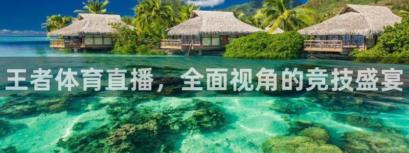 王者体育直播，全面视角的竞技盛宴