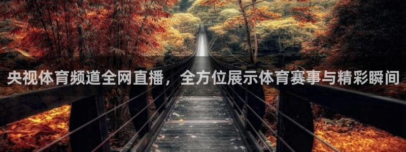 央视体育频道全网直播，全方位展示体育赛事与精彩瞬间