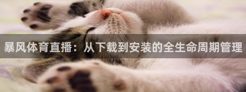 暴风体育直播：从下载到安装的全生命周期管理