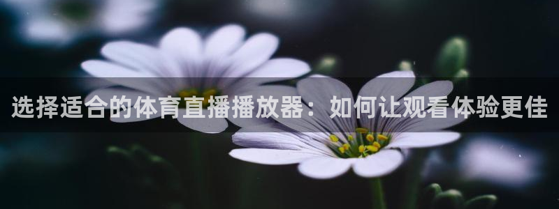 选择适合的体育直播播放器：如何让观看体验更佳