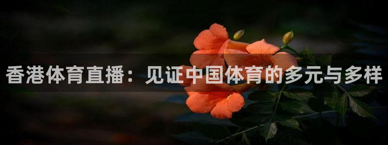 香港体育直播：见证中国体育的多元与多样