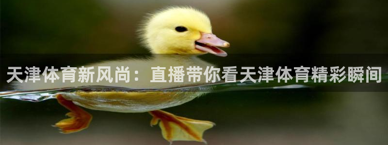 天津体育新风尚：直播带你看天津体育精彩瞬间