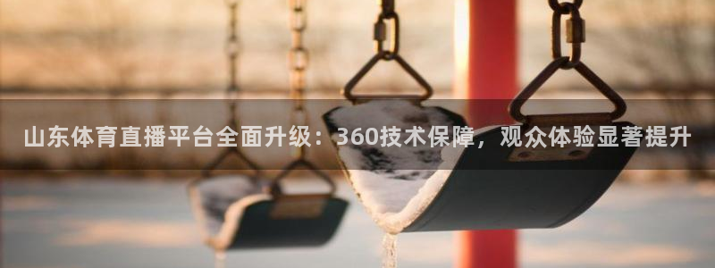 山东体育直播平台全面升级：360技术保障，观众体验显著提升