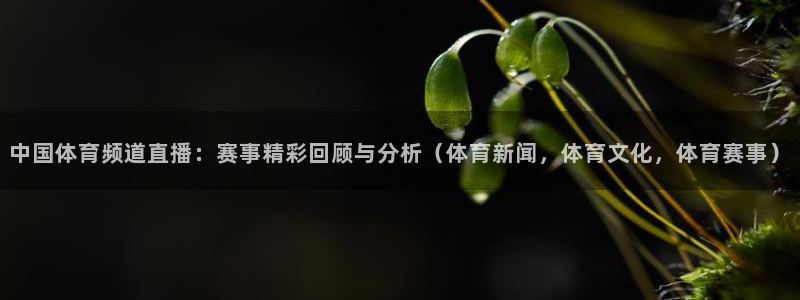 中国体育频道直播：赛事精彩回顾与分析（体育新闻，体育文化，体育赛事）