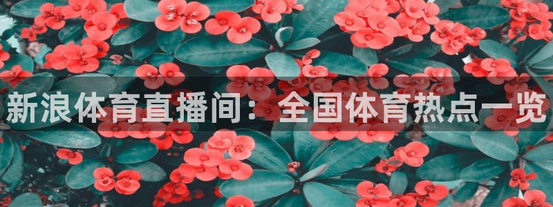 新浪体育直播间：全国体育热点一览