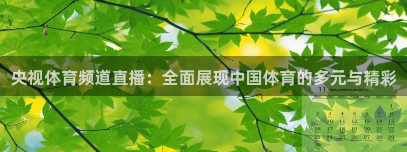 央视体育频道直播：全面展现中国体育的多元与精彩