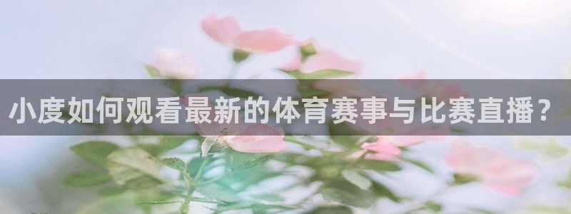 小度如何观看最新的体育赛事与比赛直播？