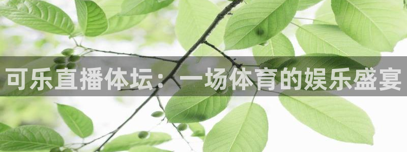 可乐直播体坛：一场体育的娱乐盛宴