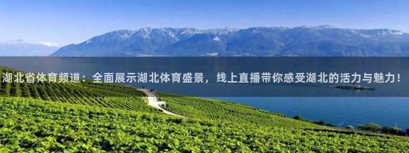 湖北省体育频道：全面展示湖北体育盛景，线上直播带你感受湖北的活力与魅力！