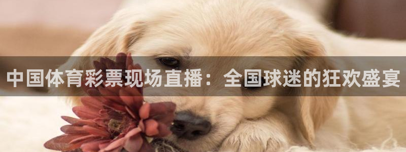 中国体育彩票现场直播：全国球迷的狂欢盛宴