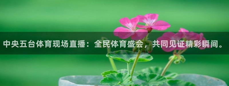 中央五台体育现场直播：全民体育盛会，共同见证精彩瞬间。